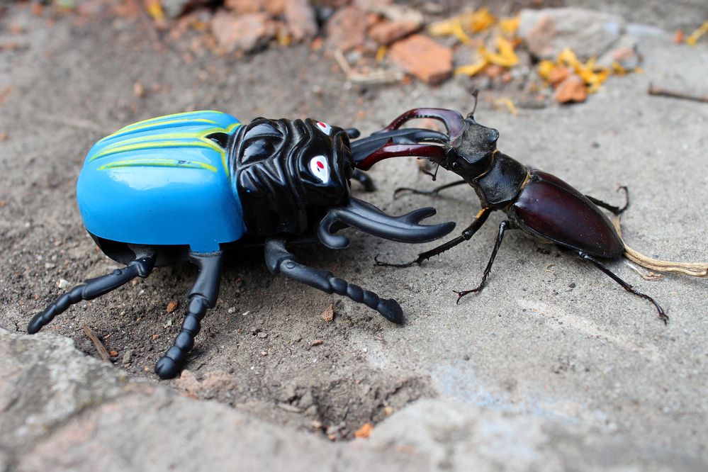 Photograph by Светлана Шубина