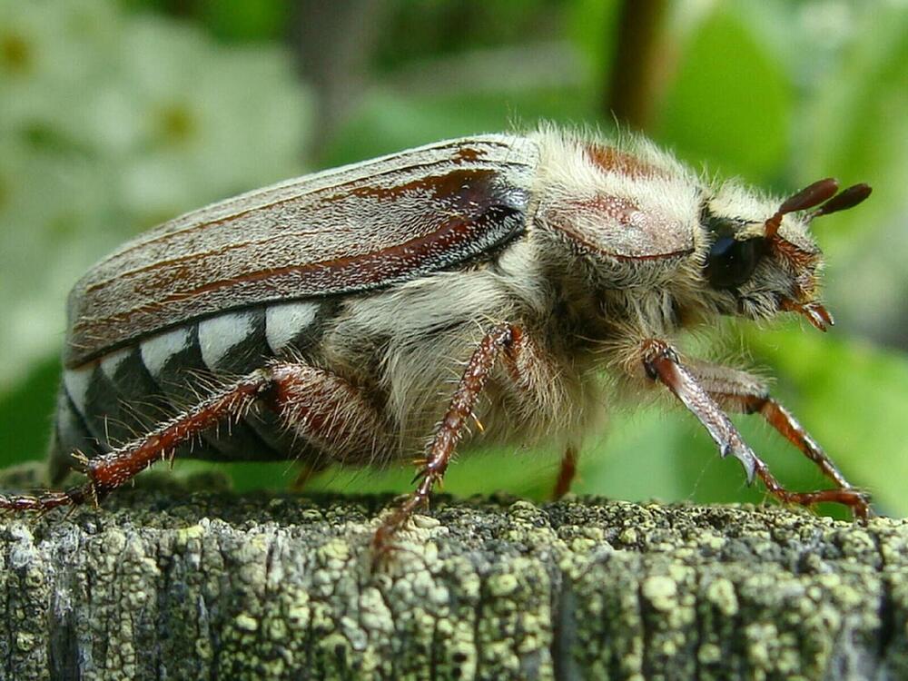 Photograph by Павел Попов