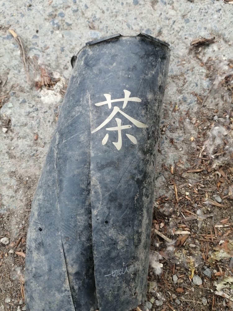 Photograph by Наталия