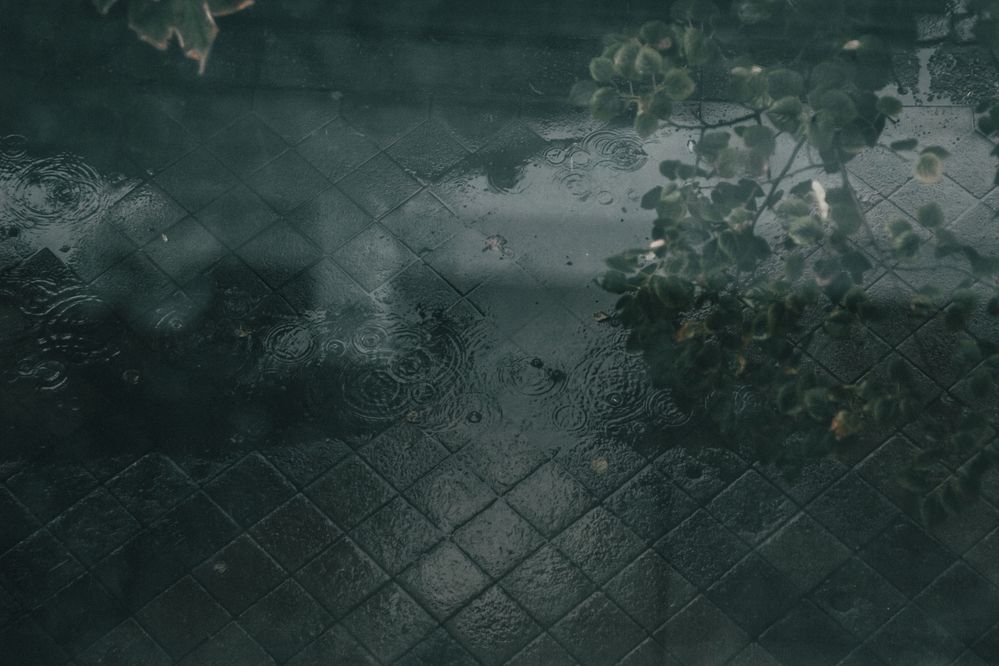 Photograph by Виктория