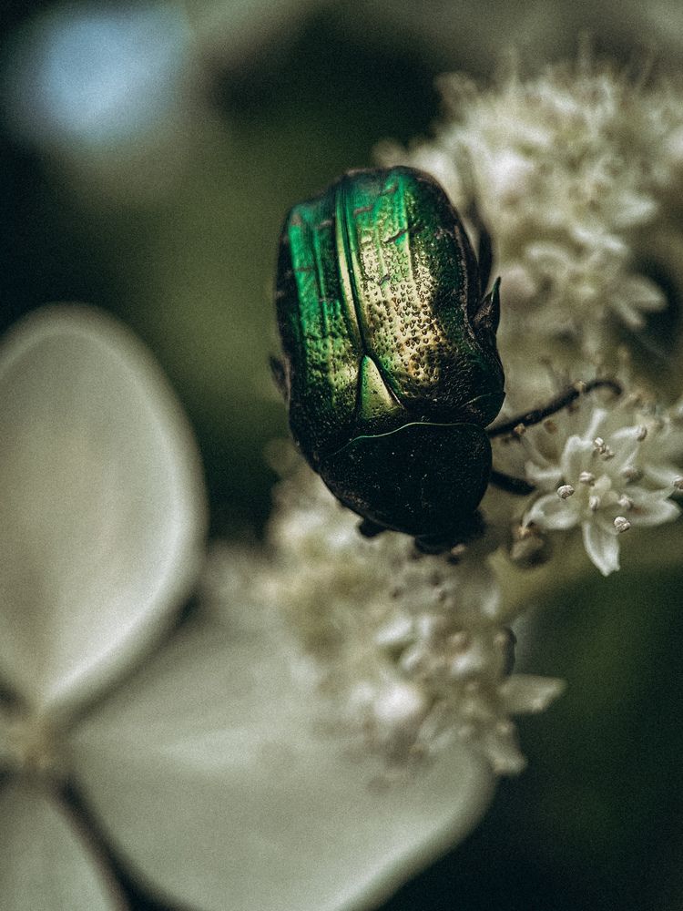 Фотография автора VICTORIA KAZAKOVA