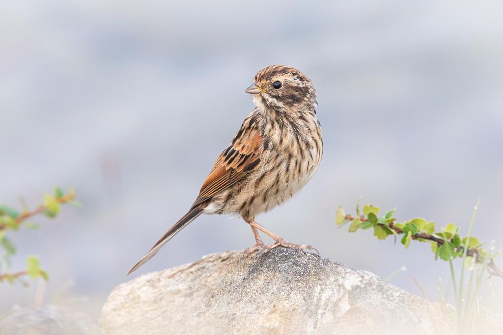 Фотография автора Alexei Kriptozoy