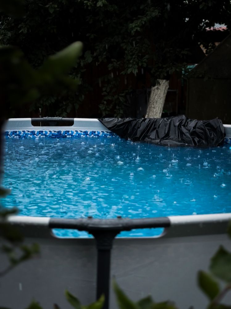 Photograph by Ярослава Васильева