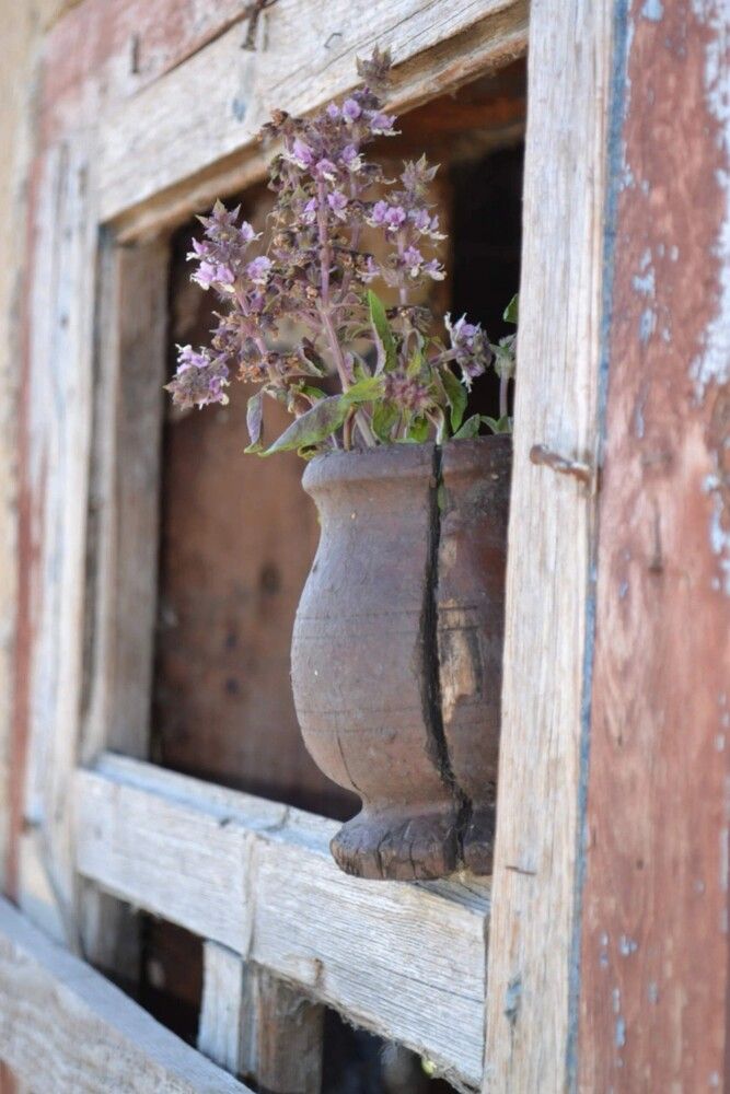 Photograph by Елена Дубовикова