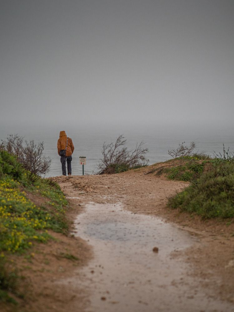 Фотография автора Доляна Горохова