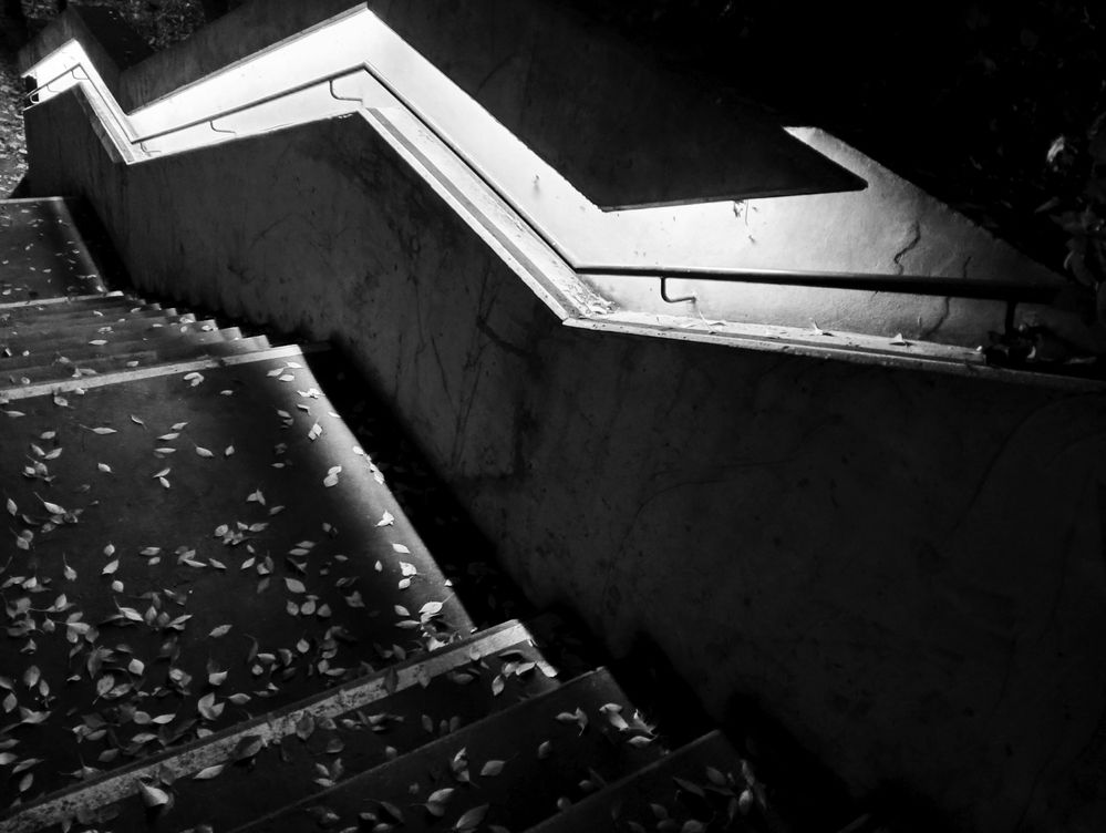 Фотография автора Евгений