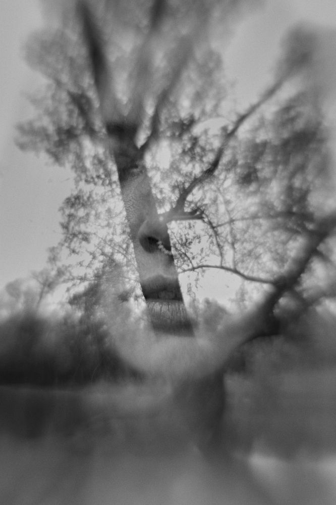 Photograph by Dayneko Tatyana