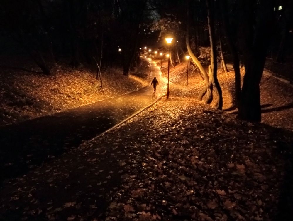 Дождливая аллея