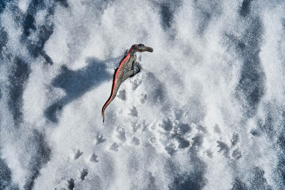 Photograph by Максим Карпович