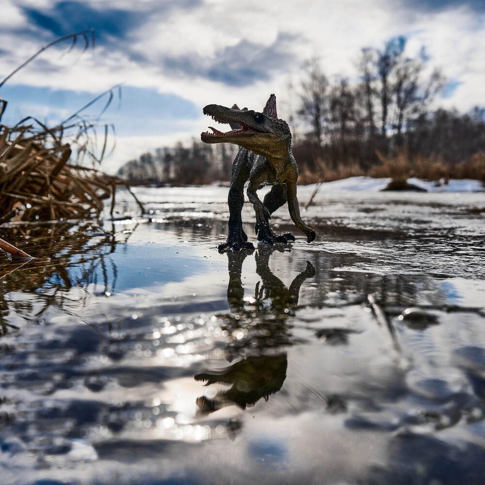 Photograph by Максим Карпович