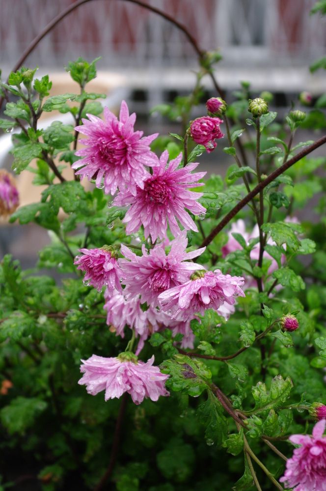 Photograph by Андрей Корытов