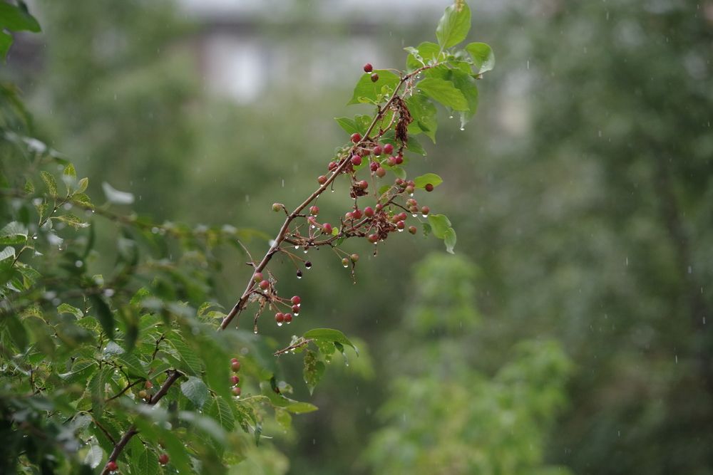 Photograph by Андрей Корытов