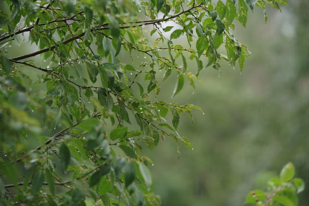 Photograph by Андрей Корытов