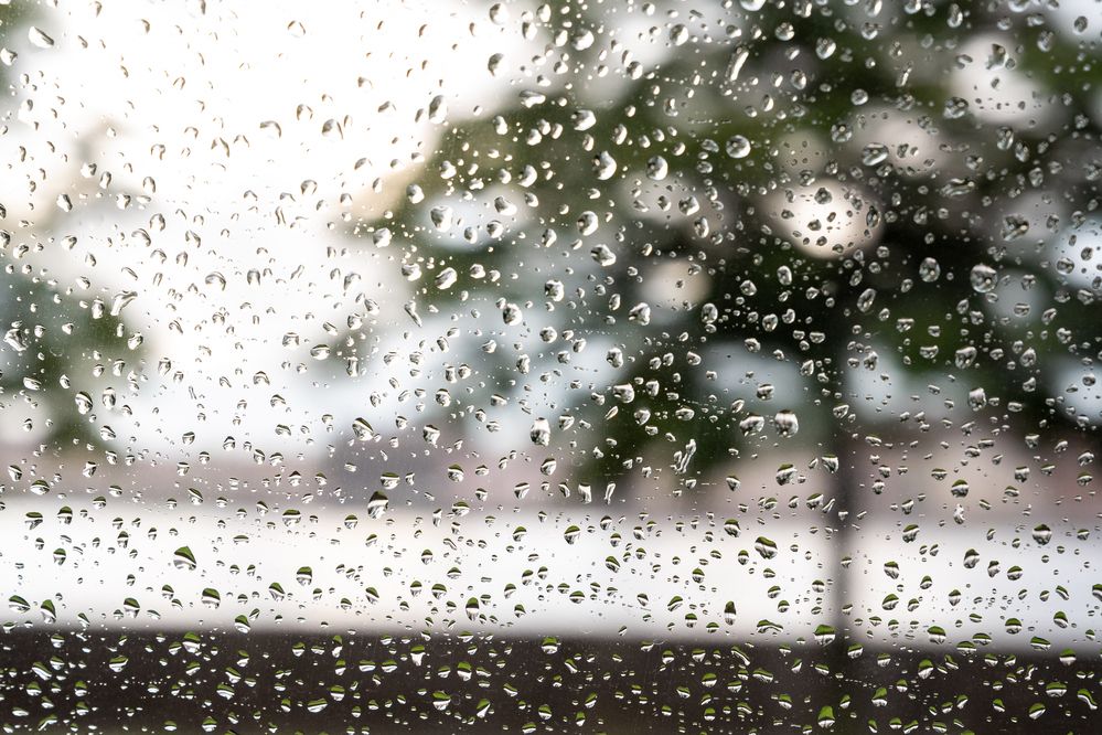 Photograph by Наталья Жигелис