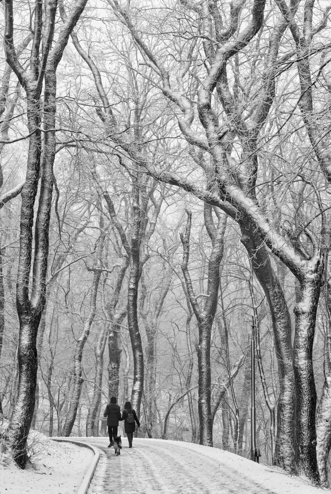 Photograph by Сергей Кошин