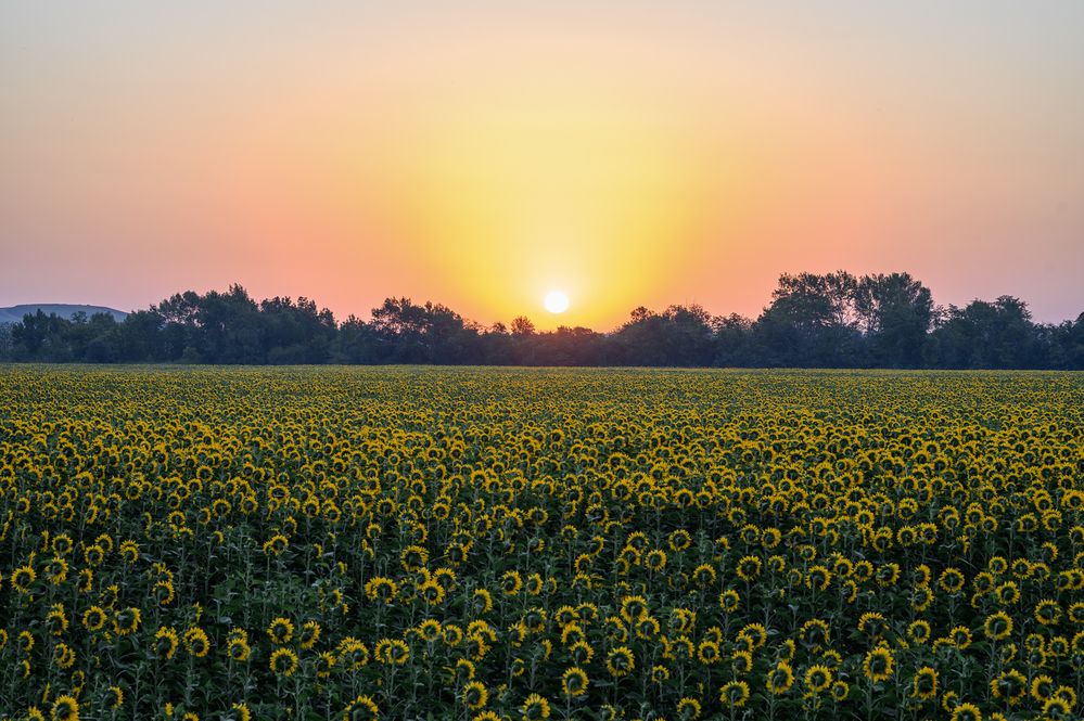 Photograph by Andrey Nuzhdin