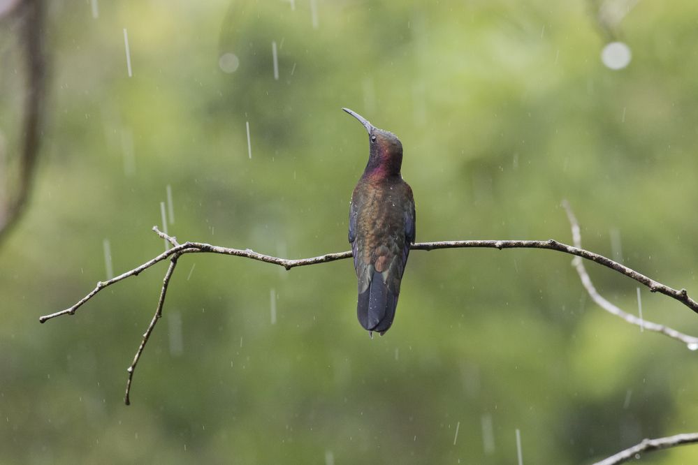 Photograph by Максим Мураков