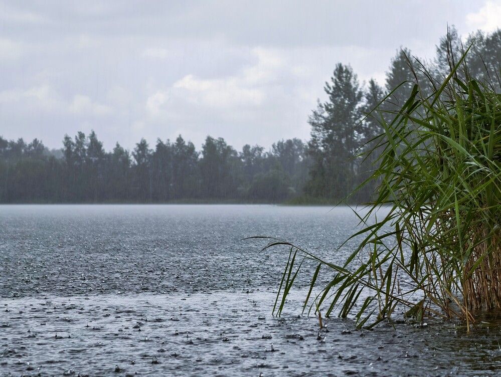 Photograph by Галина Бессуднова