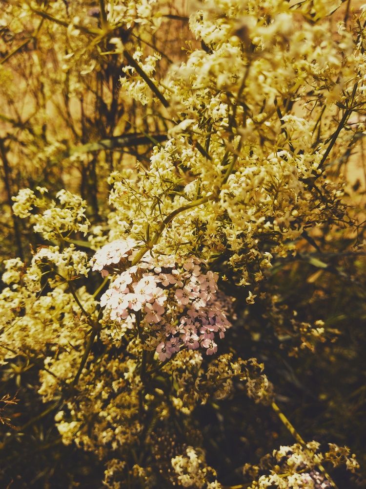 Photograph by Екатерина