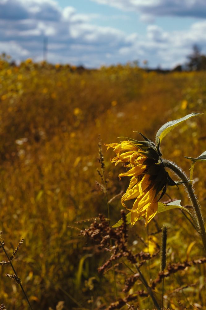 Photograph by Катрина Покумейко