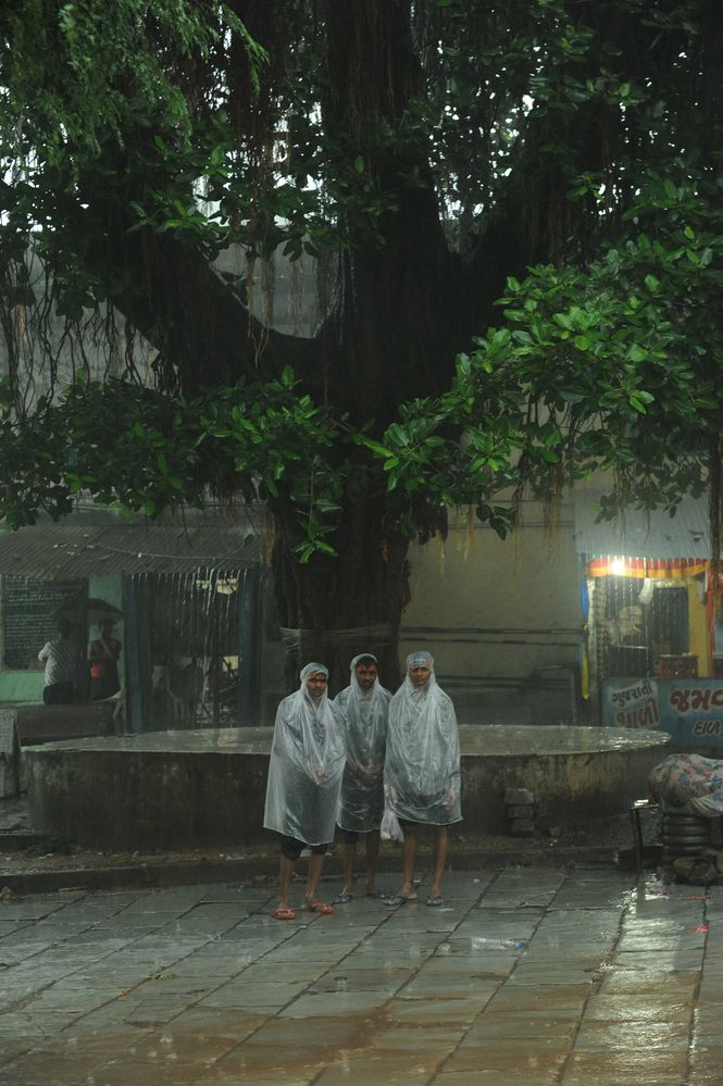 Фотография автора NARAYAN PATEL