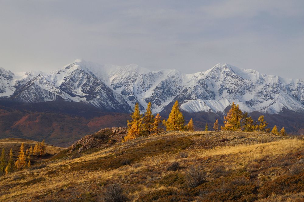 Photograph by Евгений Зинов