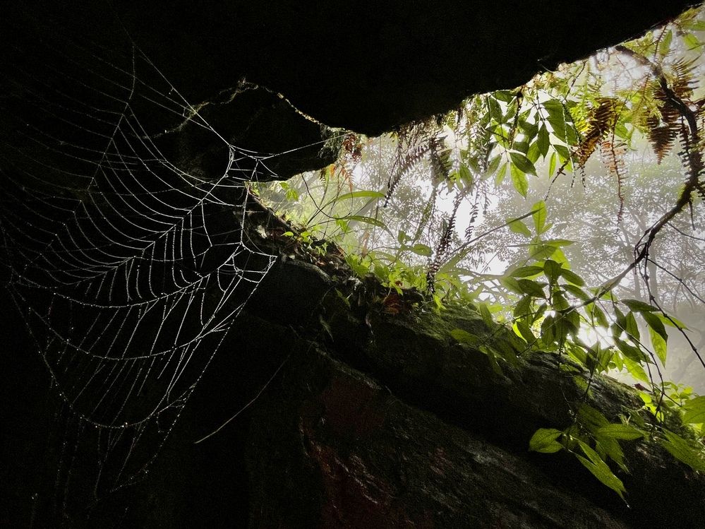 Фотография автора BIPLAB MISRA