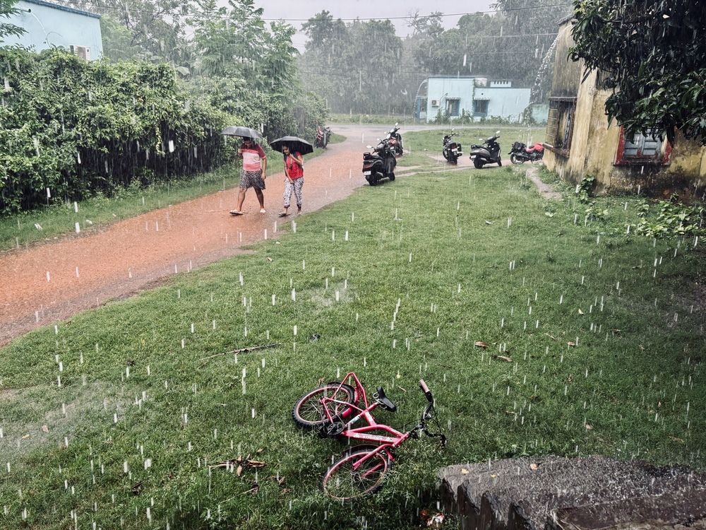 Фотография автора BIPLAB MISRA