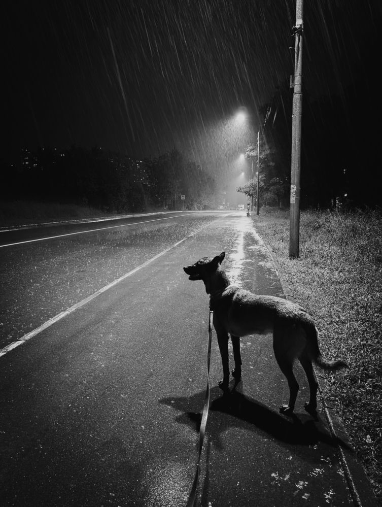 Photograph by Антон Огородов