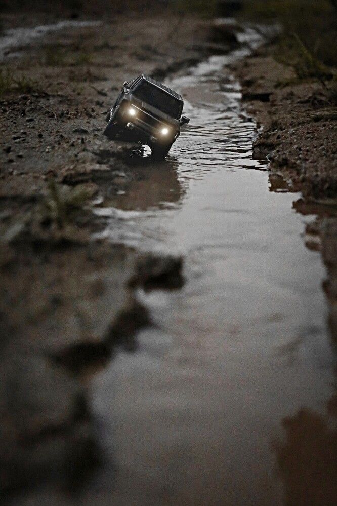 Фотография автора Татьяна Максакова