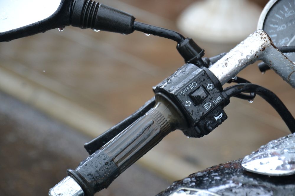 Photograph by Николай Дмитриев