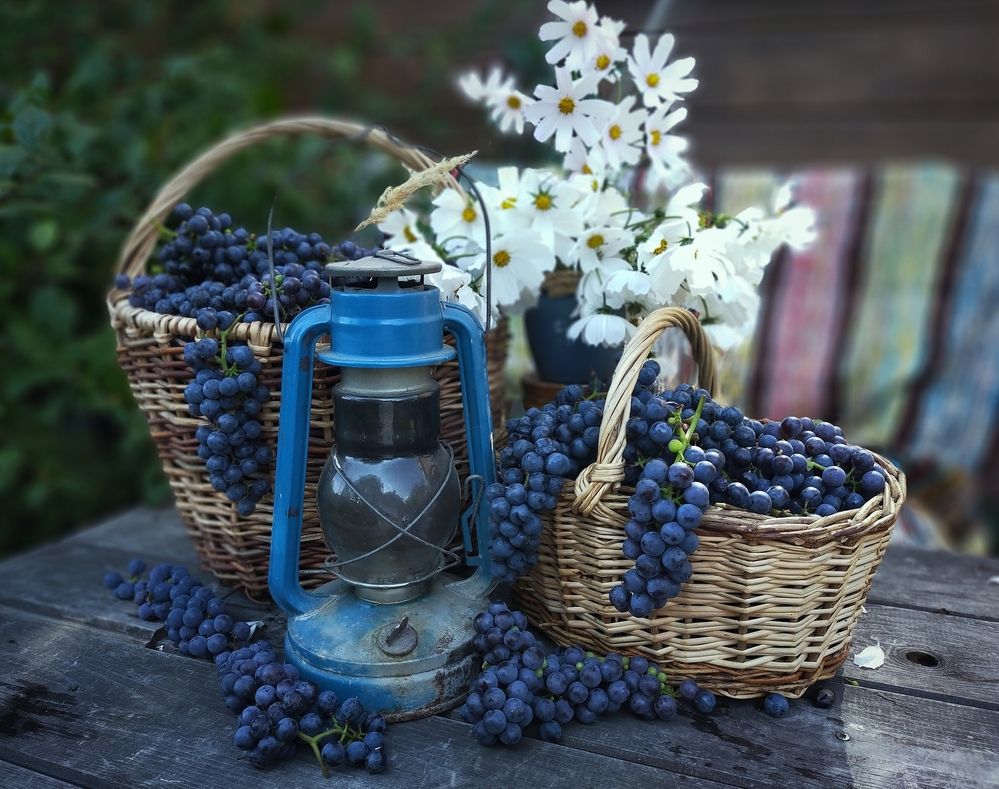 Photograph by Ольга Мартьянова