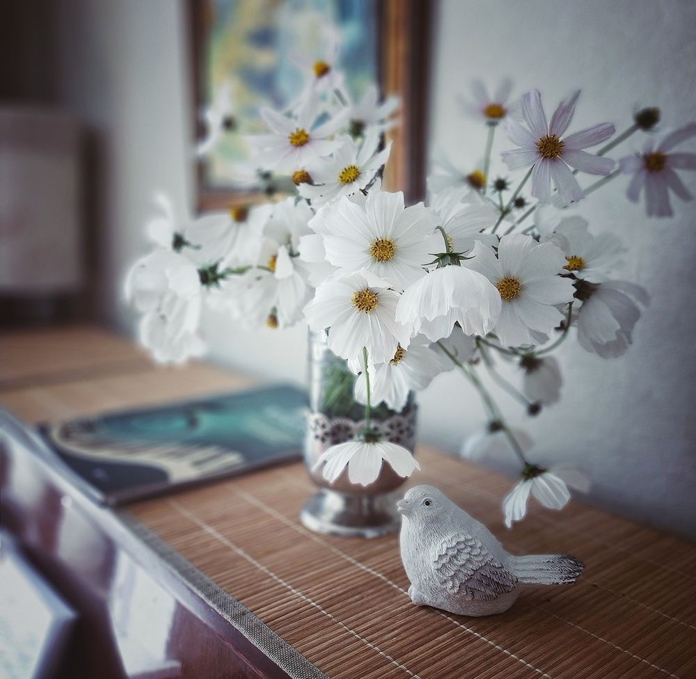Photograph by Ольга Мартьянова