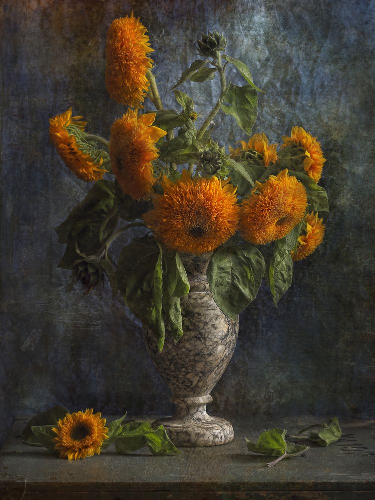 Photograph by Татьяна Панчешная