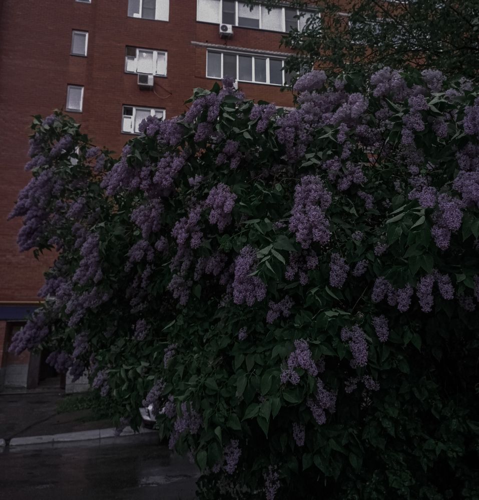 Photograph by Елена Ерасова