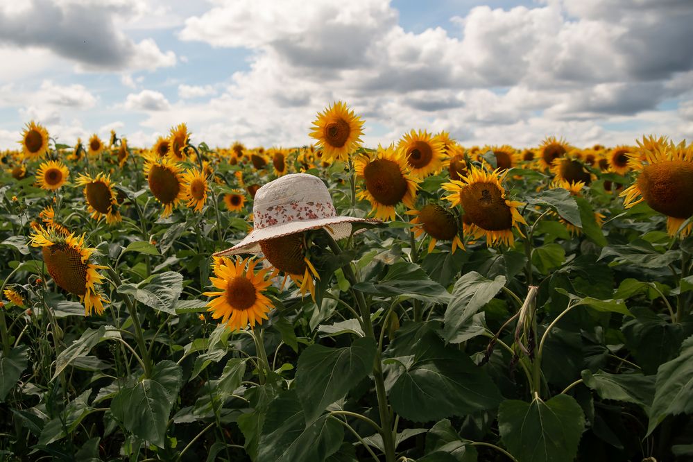 Photograph by Оксана Ланских