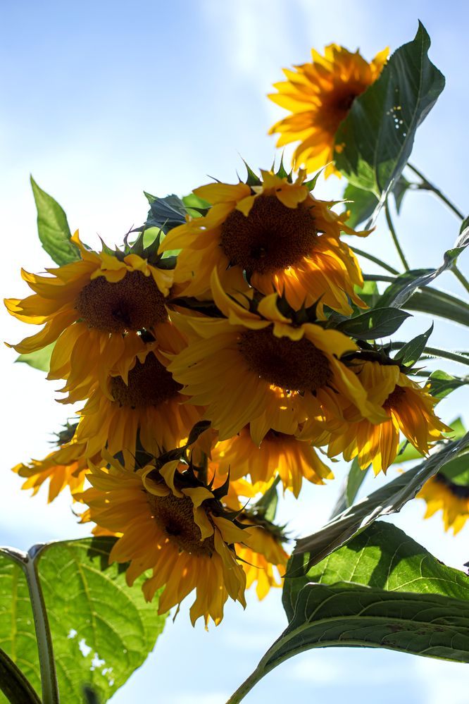 Photograph by Оксана Ланских