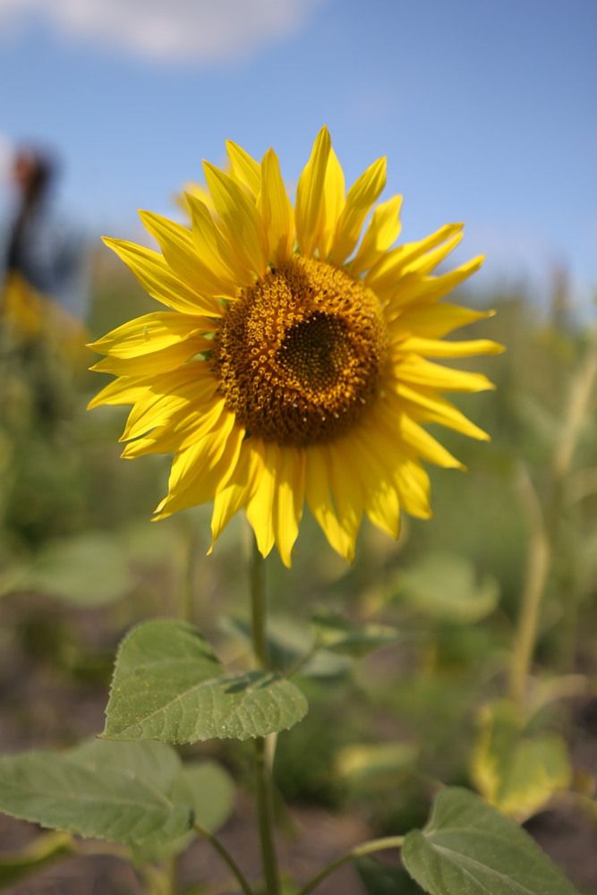 Photograph by Одаренко Ольга