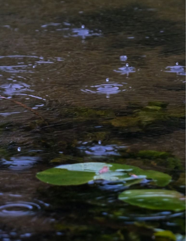 Photograph by Ирина Дегтярева