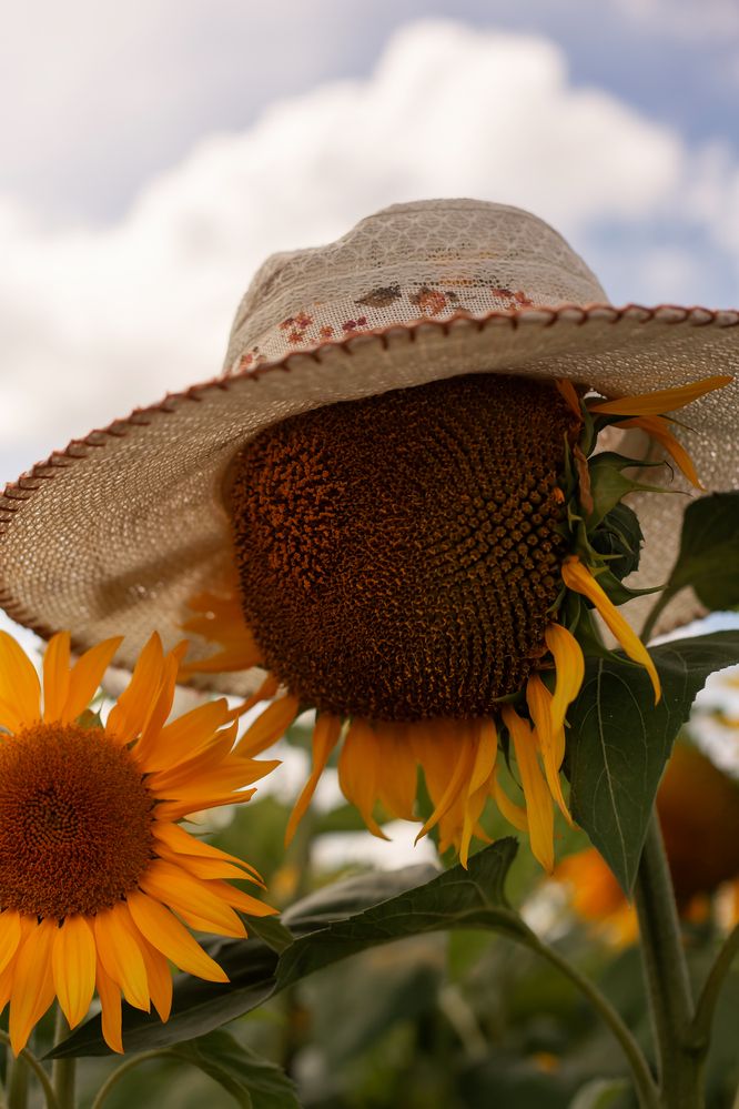 Photograph by Оксана Ланских