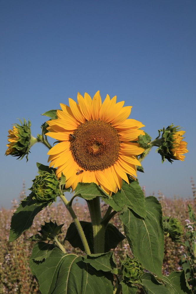 Photograph by Одаренко Ольга