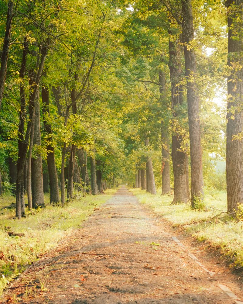 Photograph by alex.a3397