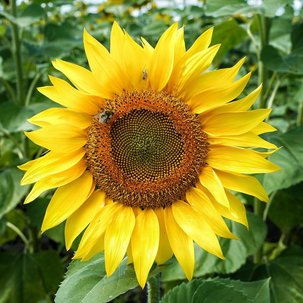 Photograph by Alexandr Klyuev