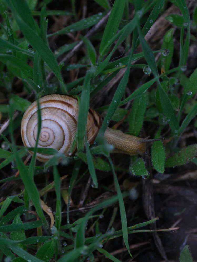 Photograph by Ирина Дегтярева