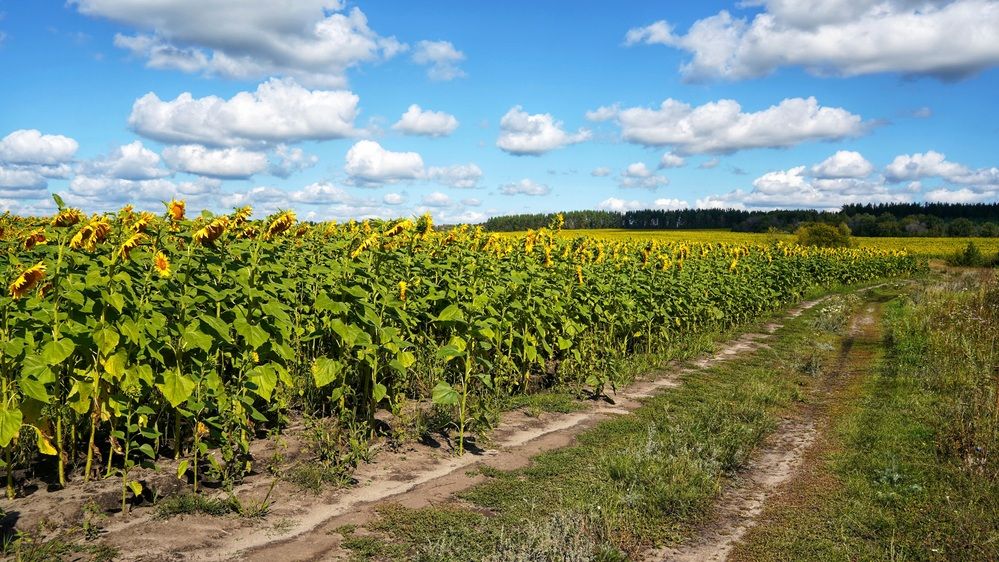 Photograph by Alexandr Klyuev