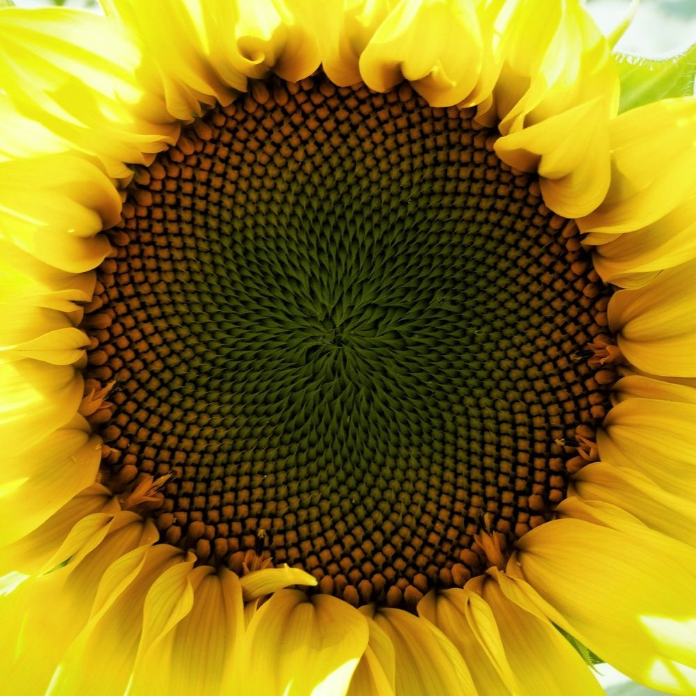 Photograph by Alexandr Klyuev