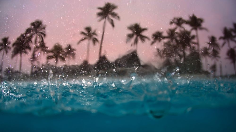 Фотография автора Андрей Нарчук