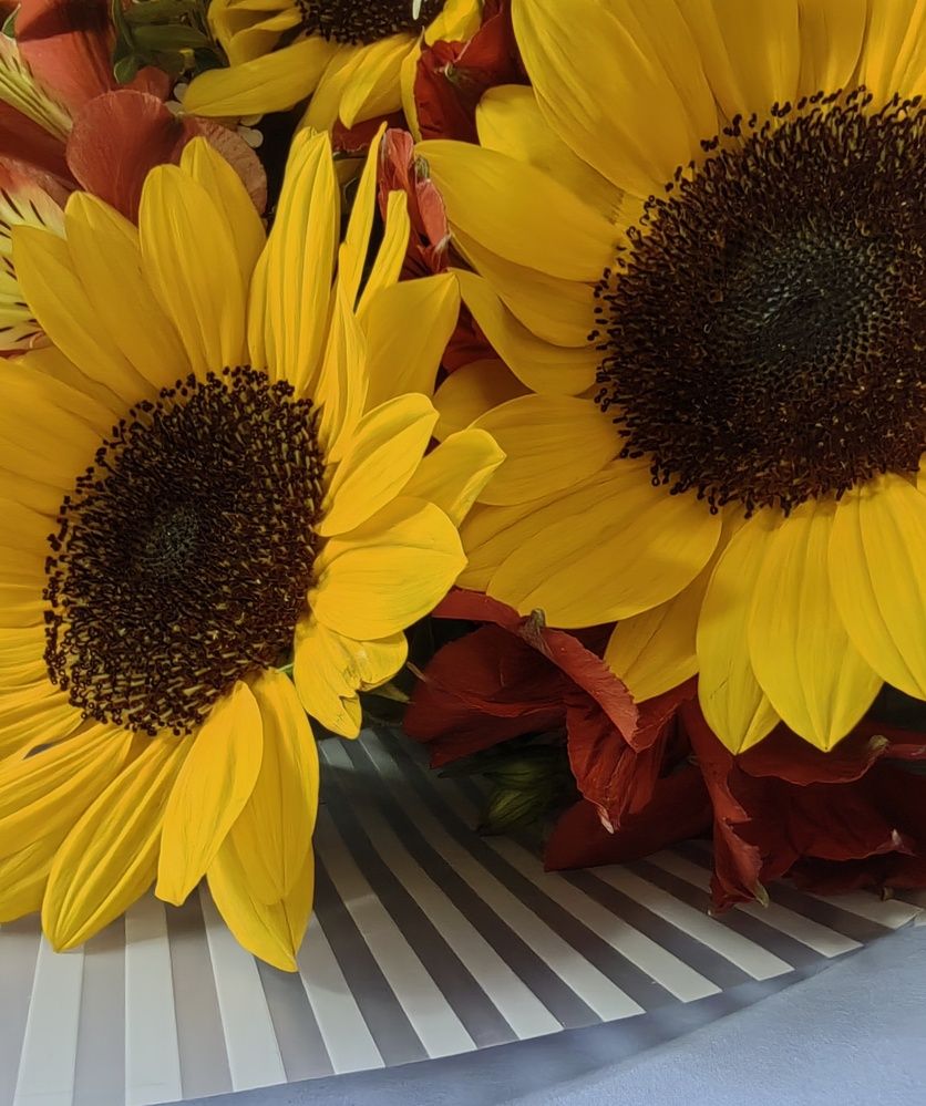 Photograph by Анна Матецкая