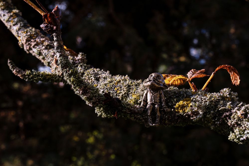 Фотография автора Ирина Гриценко