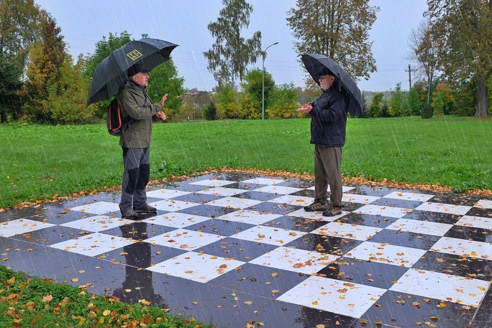 Шахматные фигуры